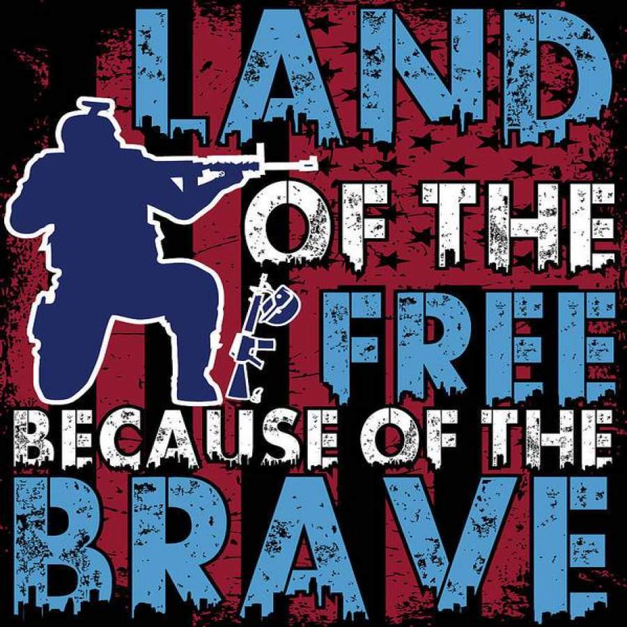 NMT2512 - Veteran - Land of the Free Because of the Brave- Poster ...