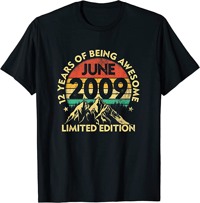 12 Years Old 12th Birthday Vintage June 2009 Retro Boys T-Shirt