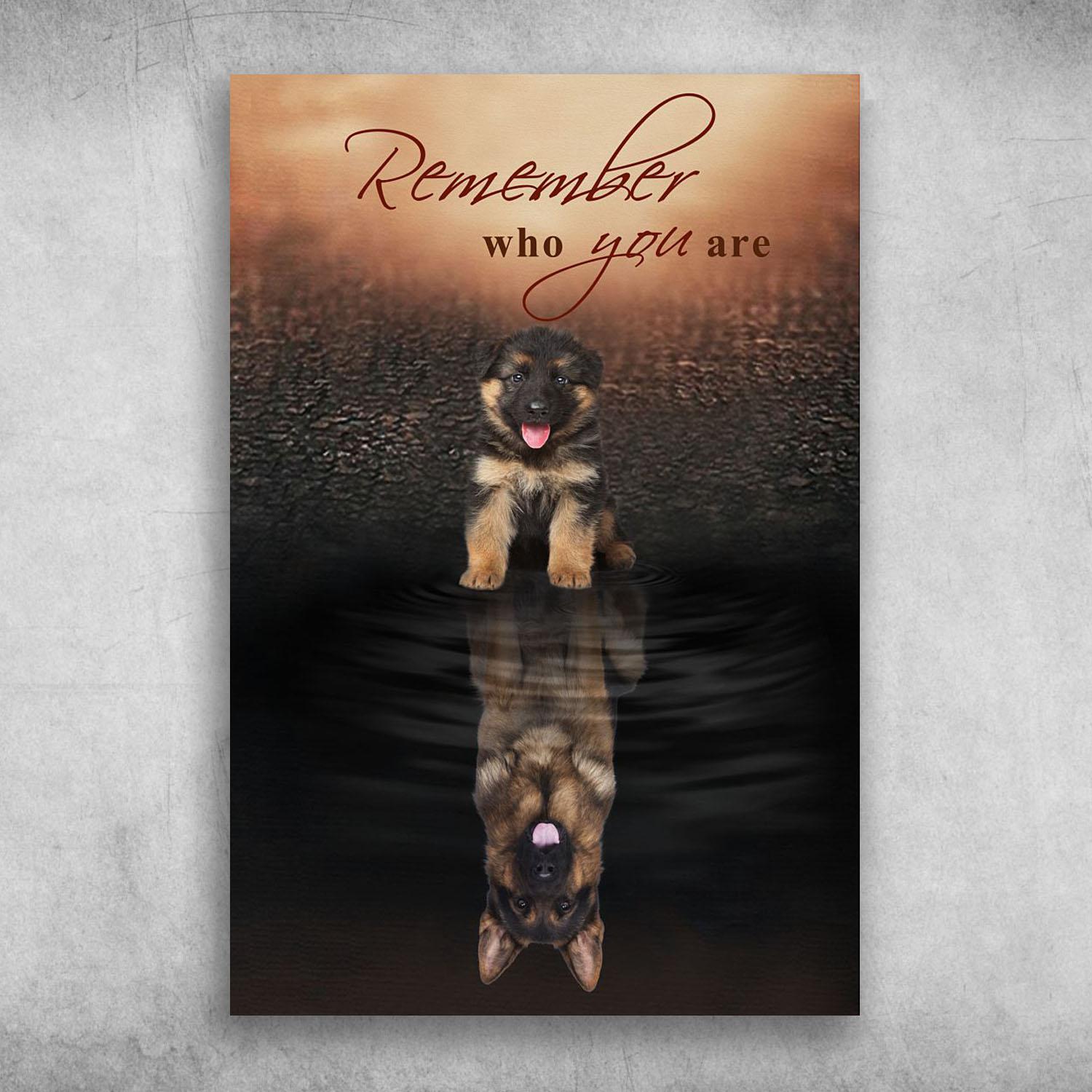 Remember Who You Are Kromfohrlander Puppy Poster Print, Canvas Print, Canvas Wall Art, Canvas And Poster Wall Decor