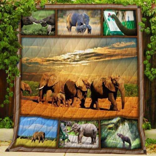 African Elephant  Elephant Family  Quilt Blanket