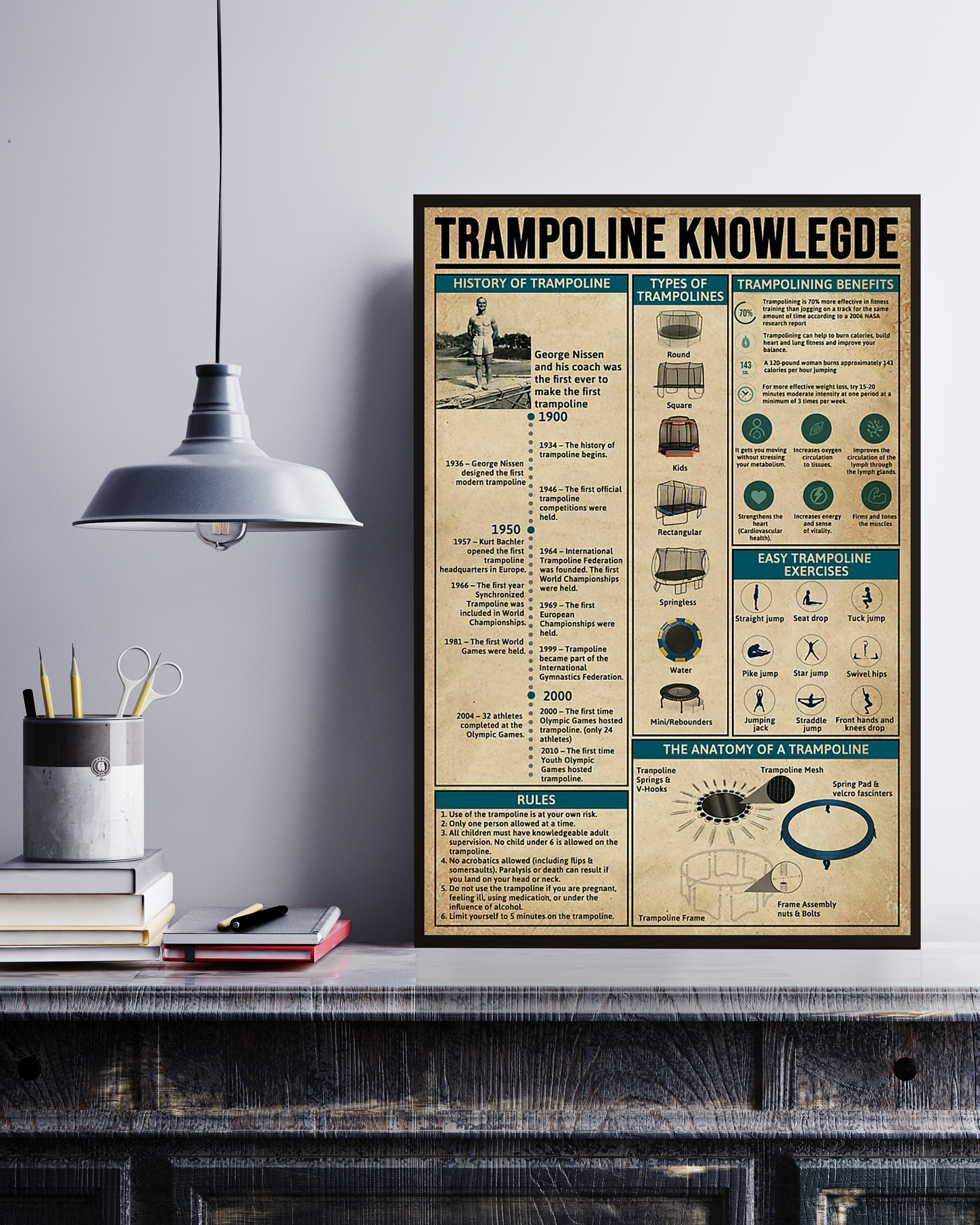 Trampoline Knowledge Unframed Poster No Frame