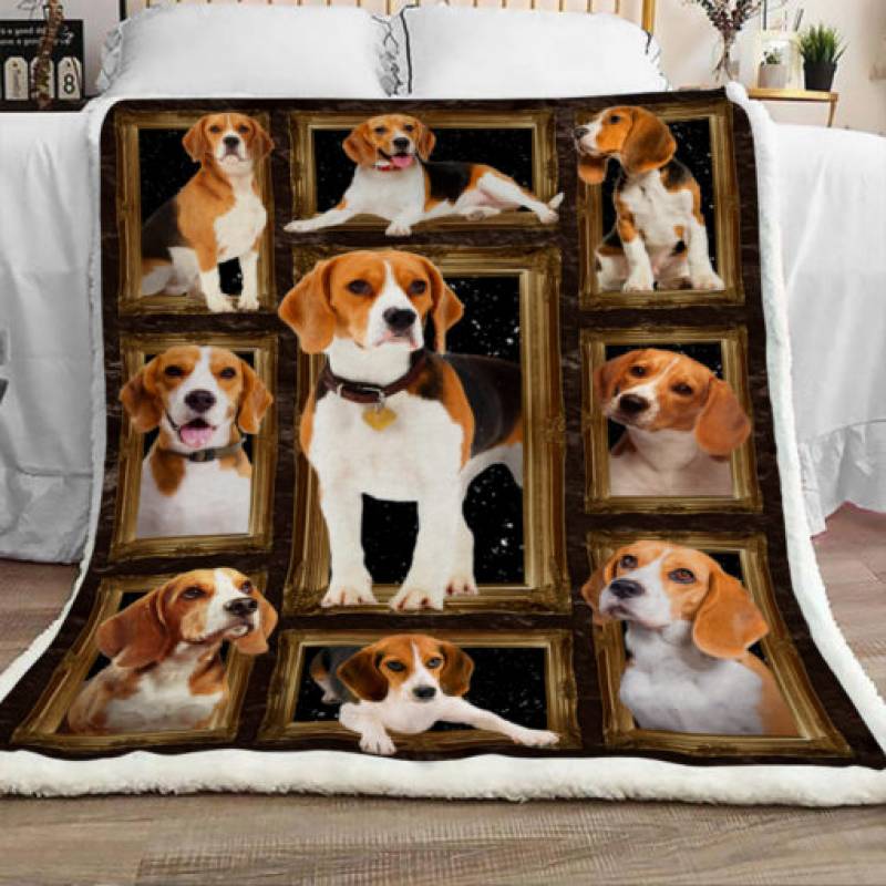 Beagle Dog Sherpa Blanket JR0801 68O52