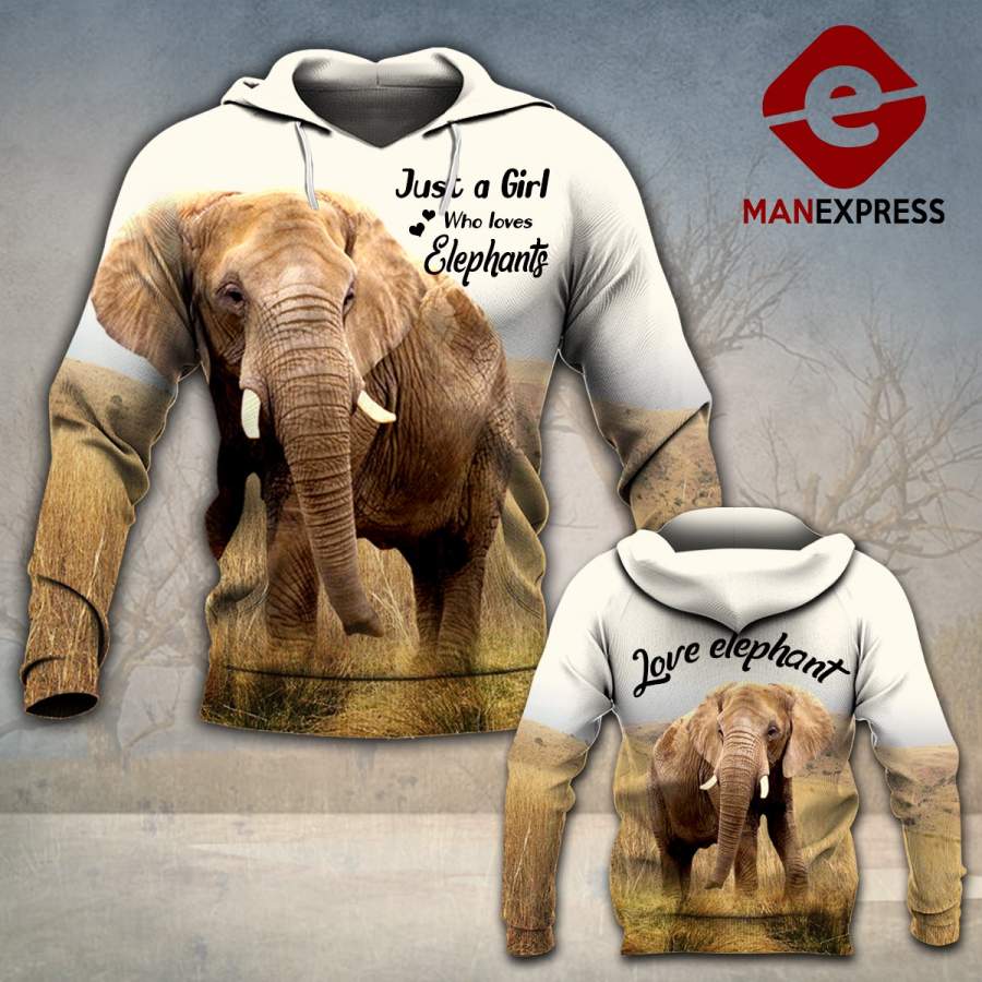 VH ELEPHANT LOVE 16.12 HOODIE 3D ALL OVER PRINT