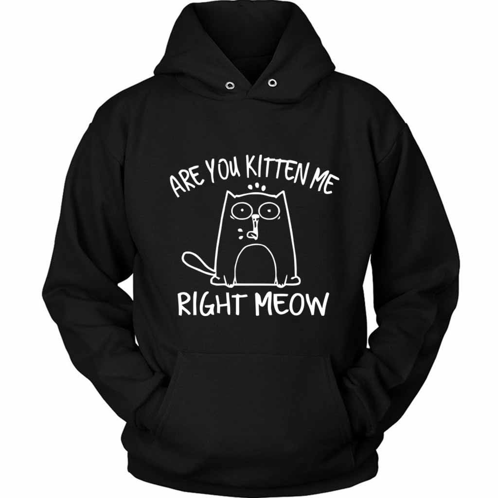 Are You Kitten Me Right Meow Cute Unisex Hoodie