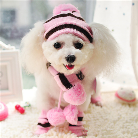 Winter Pet Puppy Accessories For Dogs Knitted Striped Hats Scarf Socks Little Small Big Animals Yorkshire Chihuahua Cat Products alx