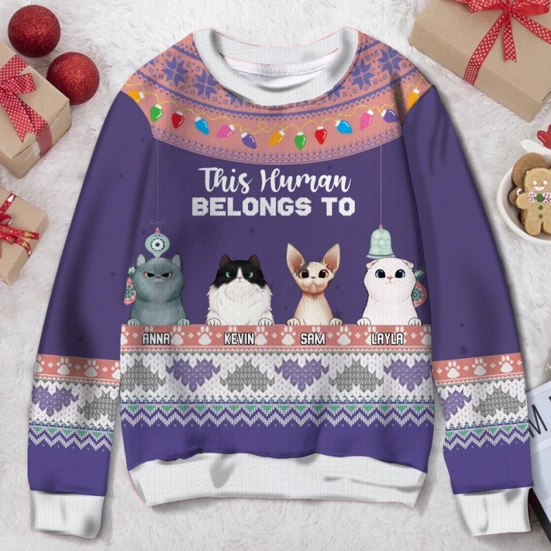 Personalized Custom Xmas Cat Ugly Christmas Sweater, Christmas Gift Idea For Cat Lover, This Human Belongs To