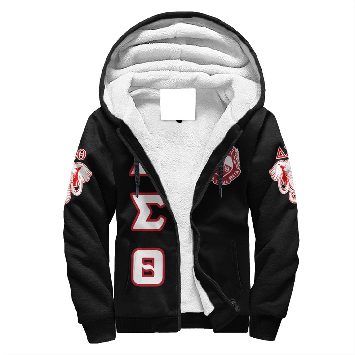 Greek Life Hoodie – Delta Sigma Theta Letters Sherpa Hoodie J0