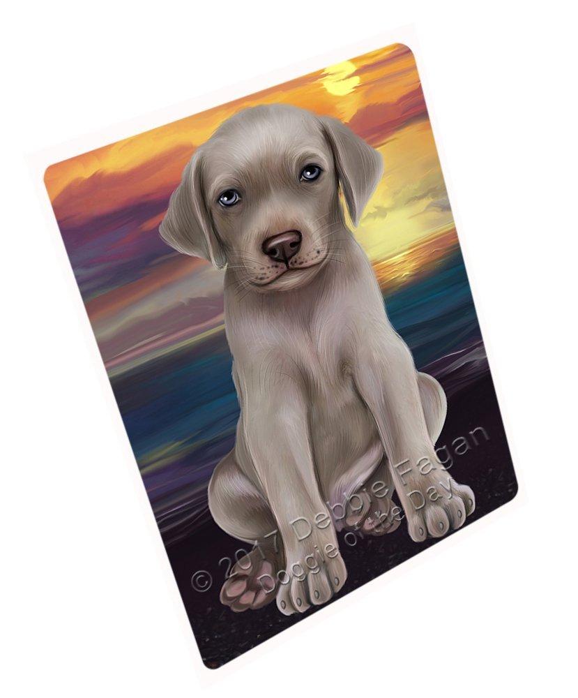 Weimaraner Dog Blanket Blnkt52374