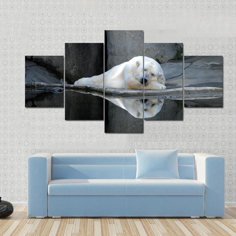 A Sleeping Polar Bear At A Zoo Animal 5 Panel Canvas Art Wall Decor