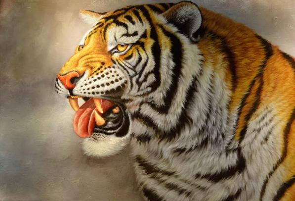 3D Tiger Wall Mural Wallpaperpe  484