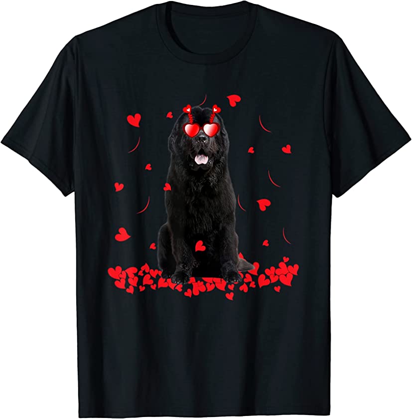 Cute Valentines Day Newfoundland Dog Hearts Puppy Lover T-Shirt