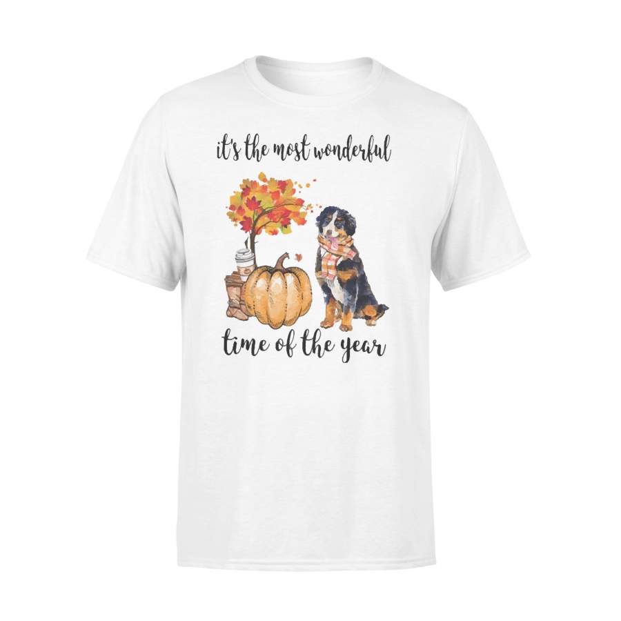 Fall Pumpkin It’s The Most Wonderful Time Of The Year Bernese Mountain T-Shirt