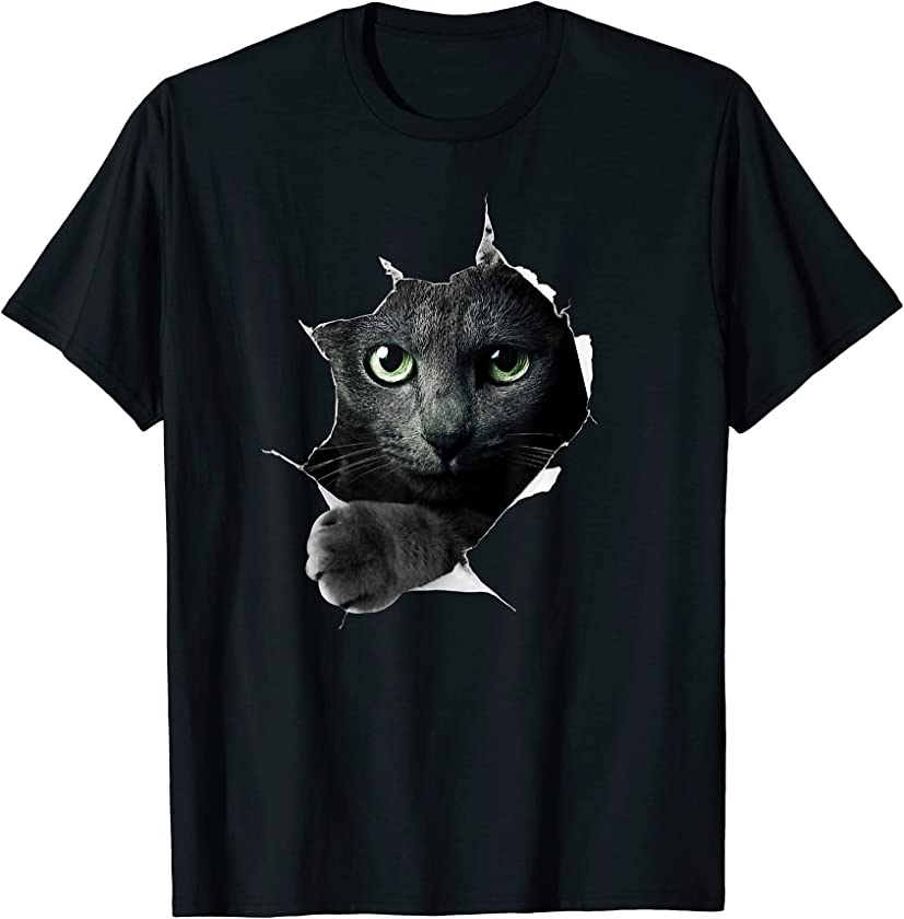 Cute Cat – Kitten Torn Cloth Funny Black Cat Owner Cat Lady T-Shirt