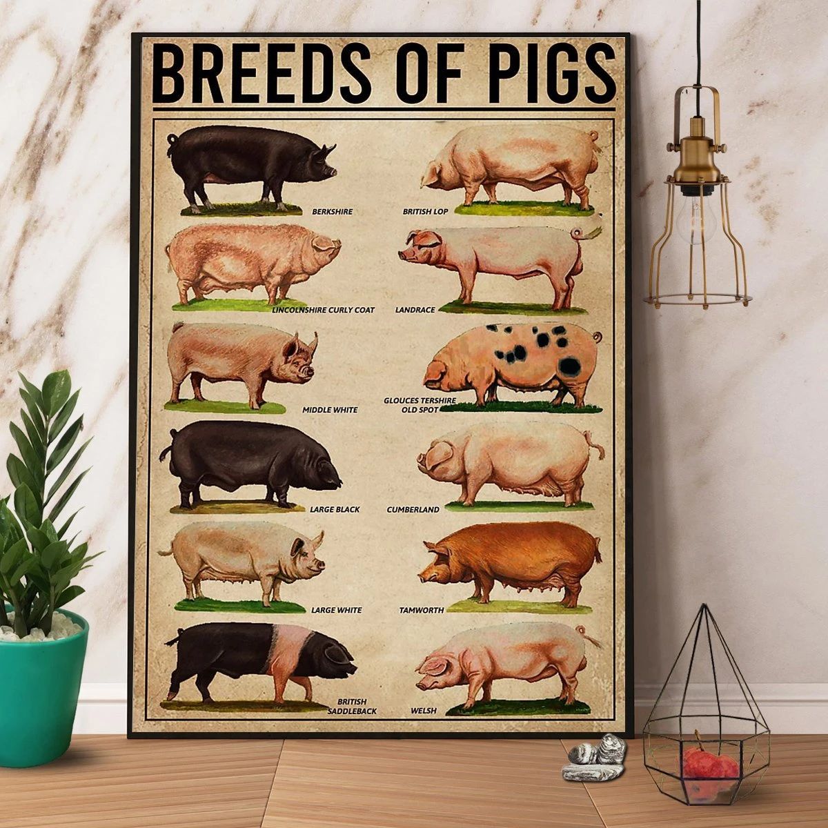 Pigs Breeds Of Pigs Landrace Large Black Pig Animal No Frame Canvas Prints Poster Wall Art Decor