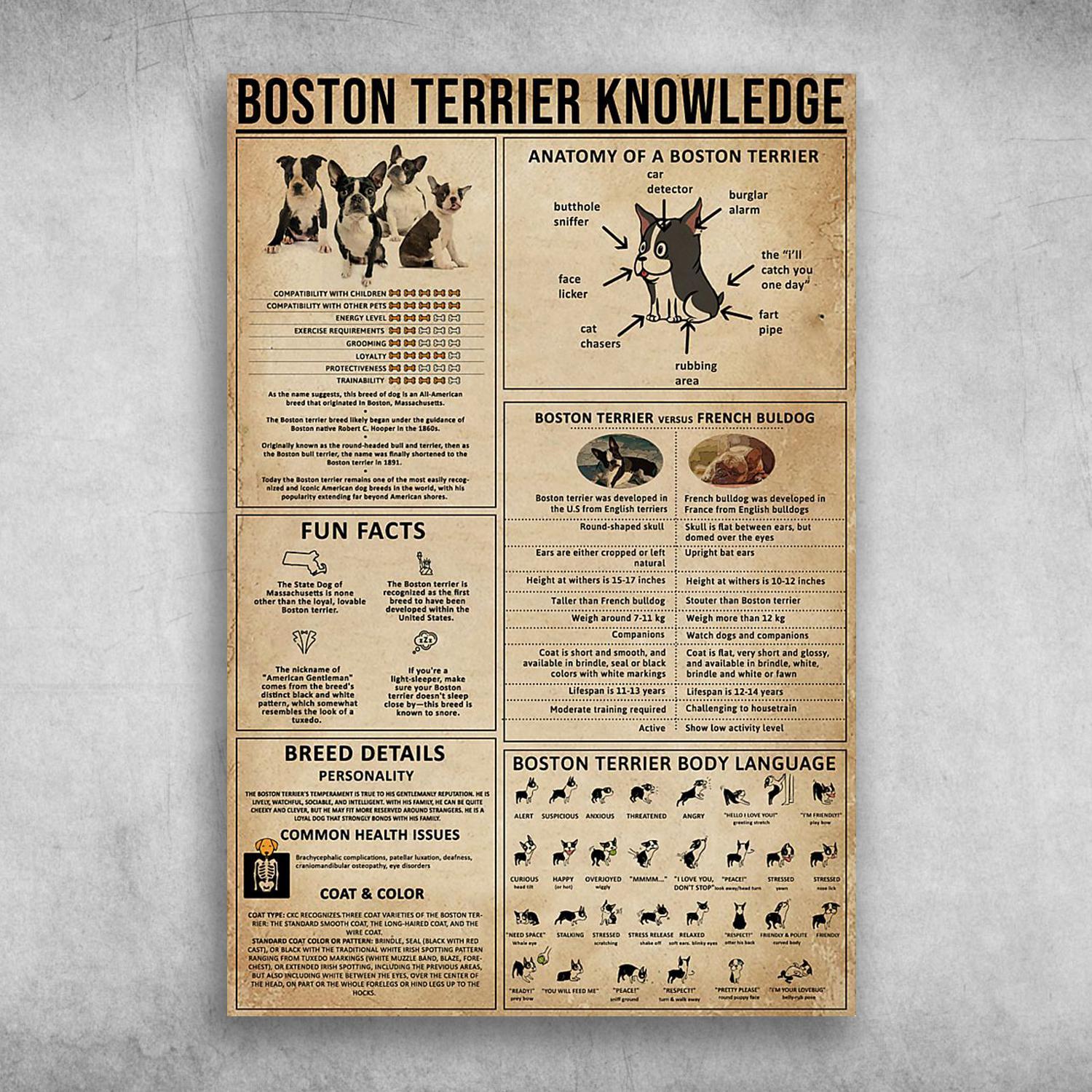 Boston Terrier Knowledge Anatomy Of A Boston Terrier Poster Print Wall Art Canvas Wall Decor