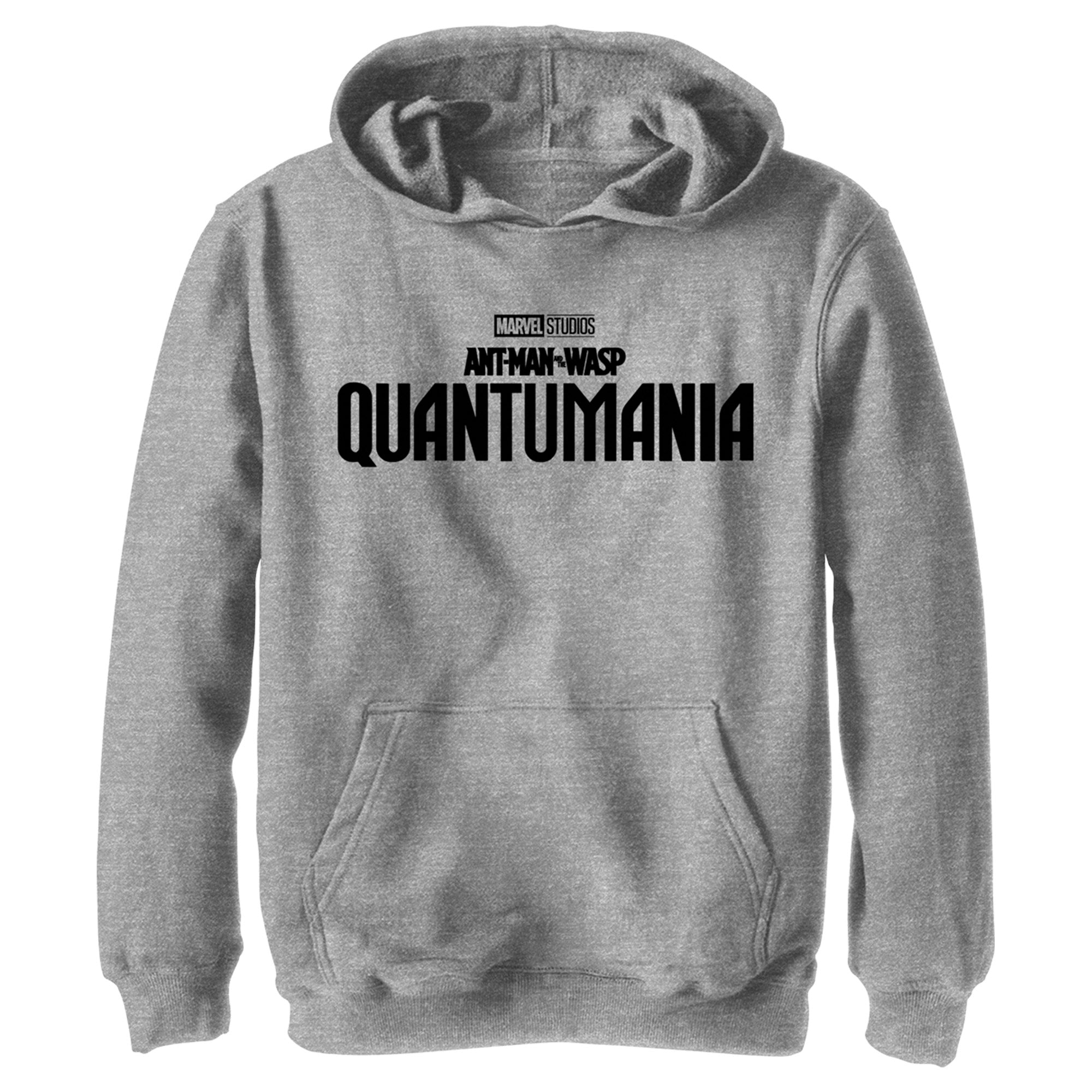 Boy’S Ant-Man And The Wasp: Quantumania Movie Logo Black Pull Over Hoodie