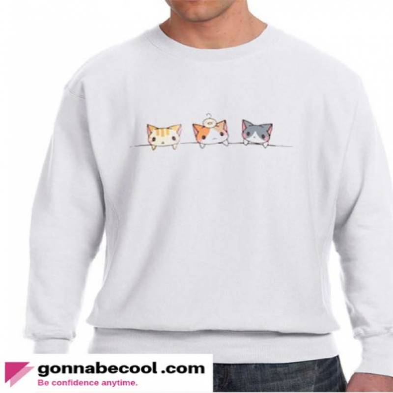 Three Kittens Impressive Sweatshirt