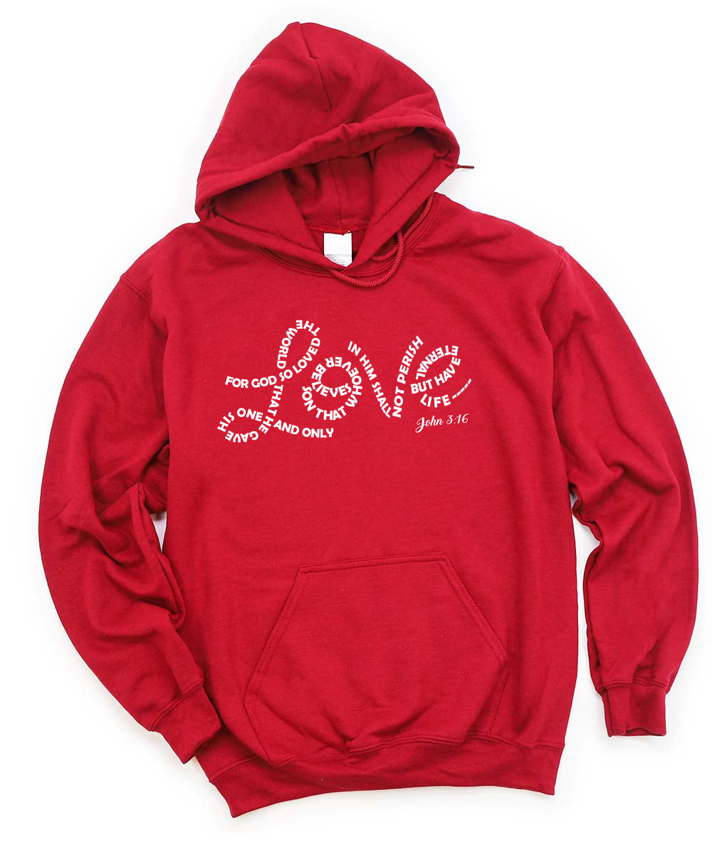 Love. John 3:16 Hoodie