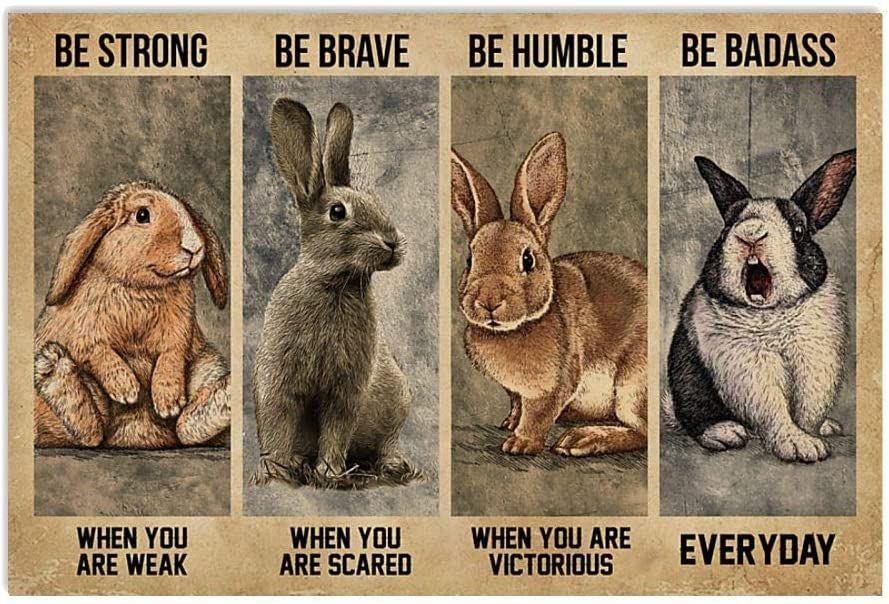 Be Strong When You Are Weak Rabbit Bunny  – Best Idea Gift , Gift For Home Decor, Gift For Family – Horizontal Canvas Matte Canvas Wall Art