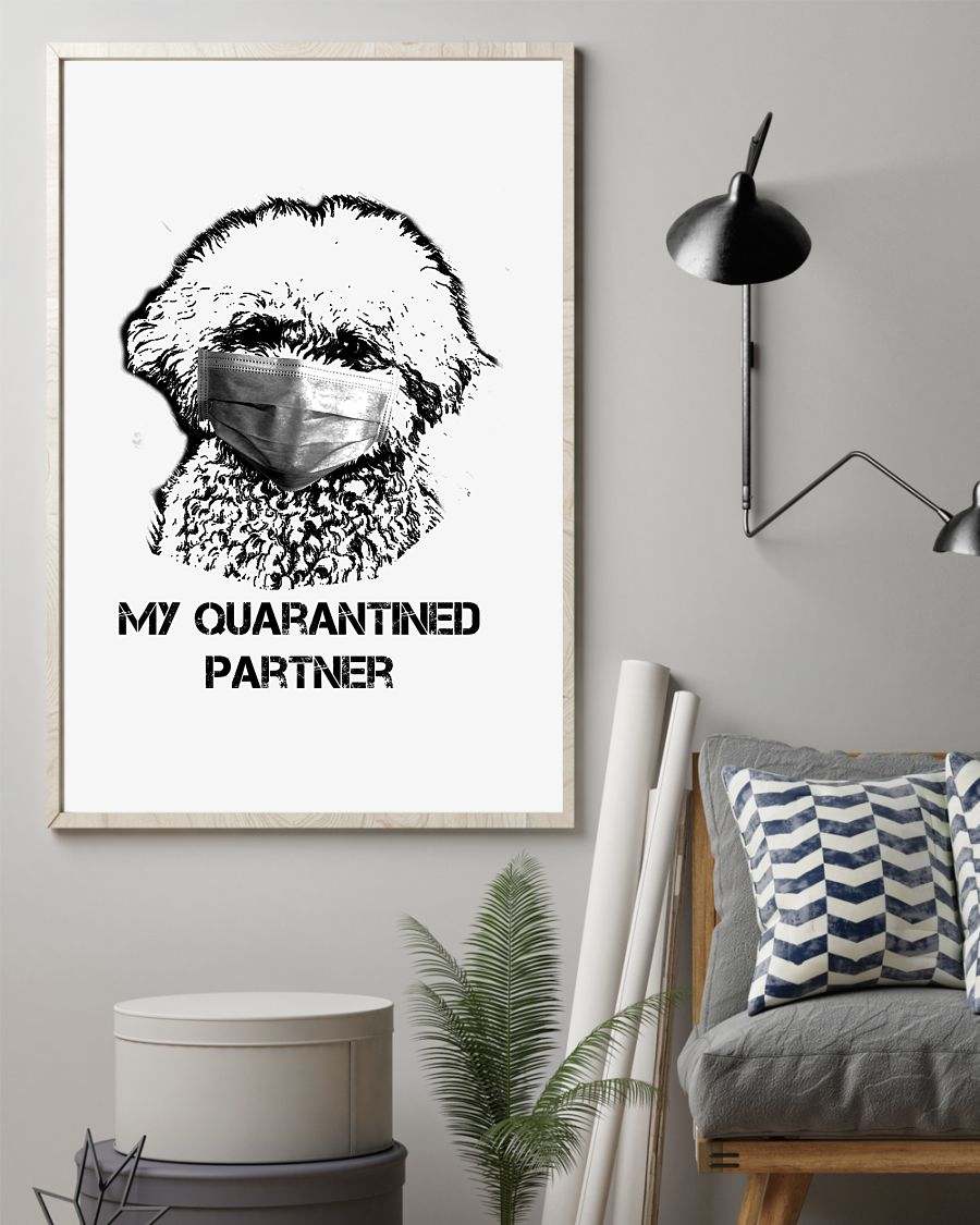 bichon frise my quarantined partner poster