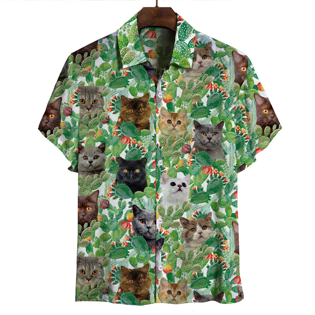 British Shorthair Cat Hawaii Shirt Ha103314