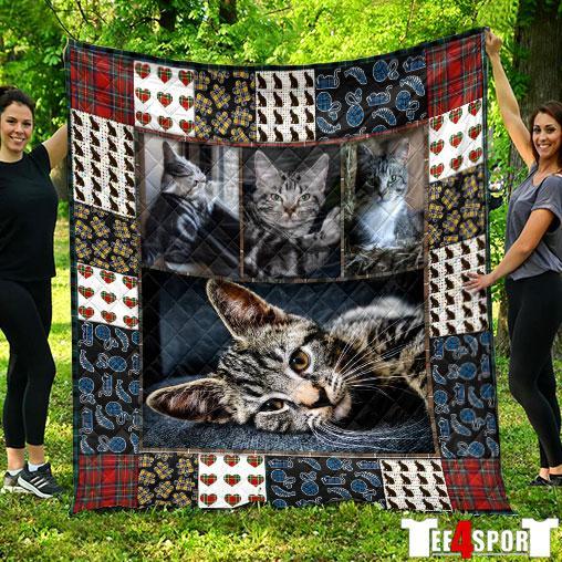 Cat Lazy Cat Kitten Kitten Love Quilt Blanket