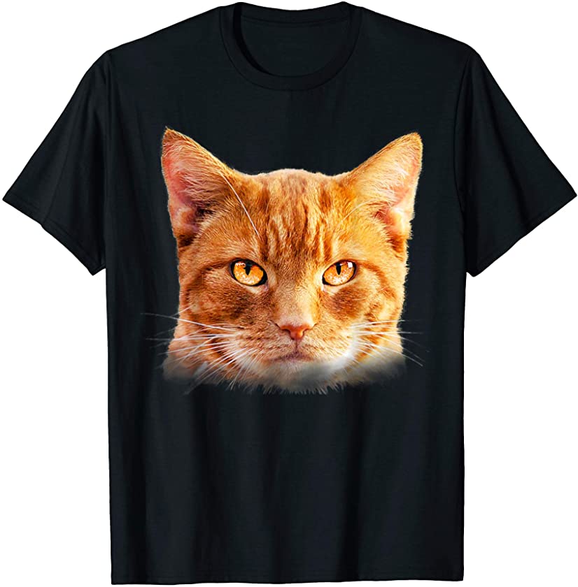 Comfy and cute cat & Kitten lover perfect gift ideas tee T-Shirt