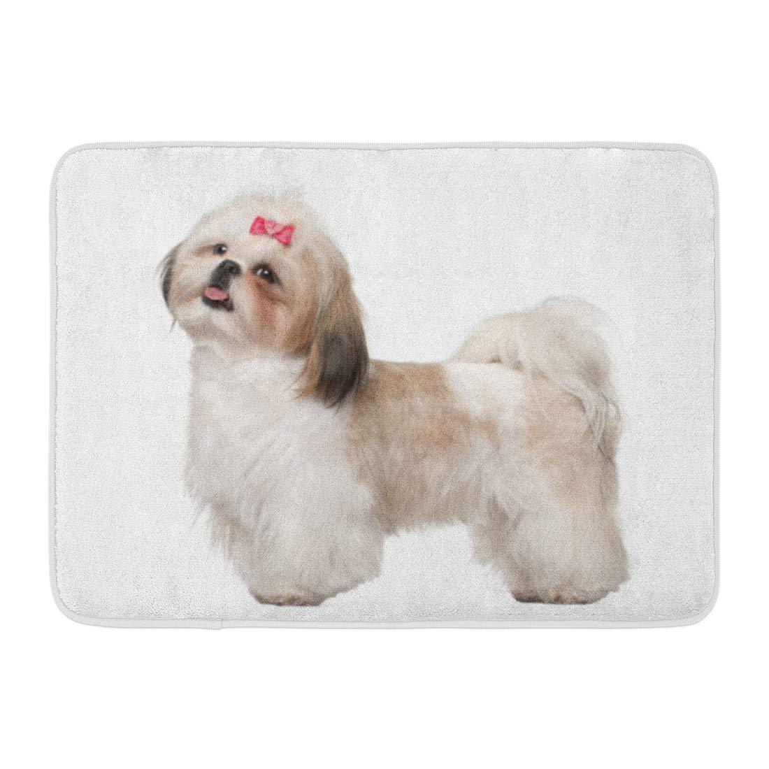 Alone Tan Animal Shih Tzu Standing Against White Dog Bow Rug Doormat Welcome Mat House Warming Gift Home Decor Gift For Dog Lovers Funny Doormat Gift Idea