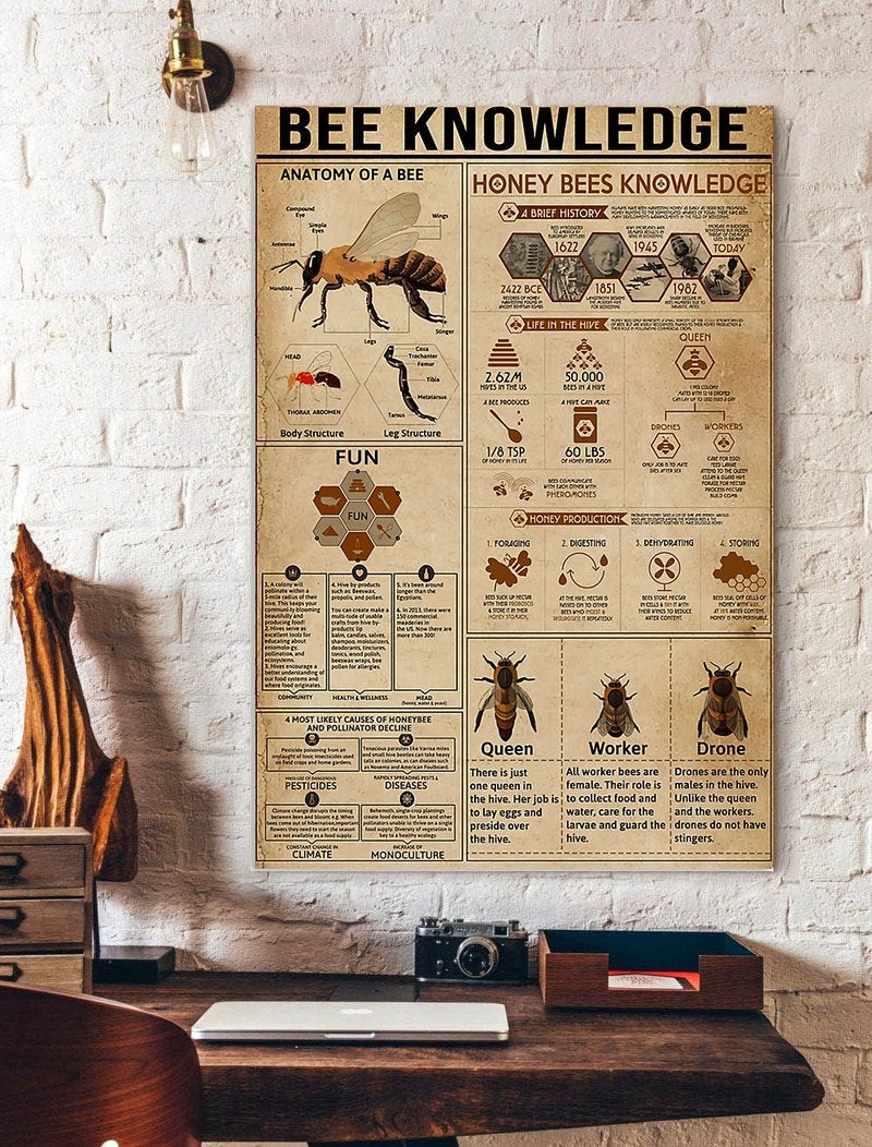 Anatomy Of Bee Knowledge Poster