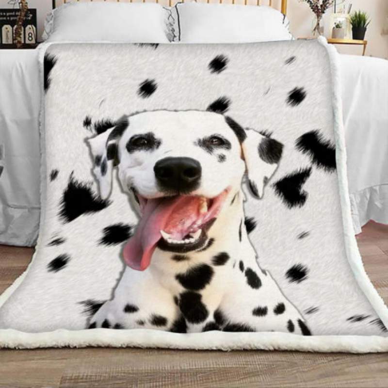 Dalmatian Dog Sherpa Blanket JR1401 69O31