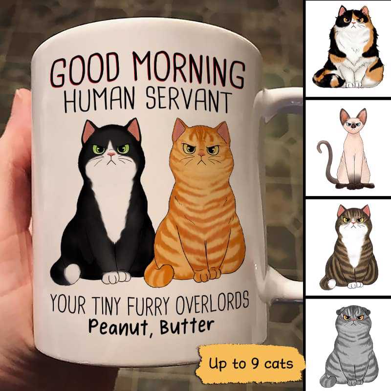 Angry Cats Good Morning Human Servant Personalized Mug