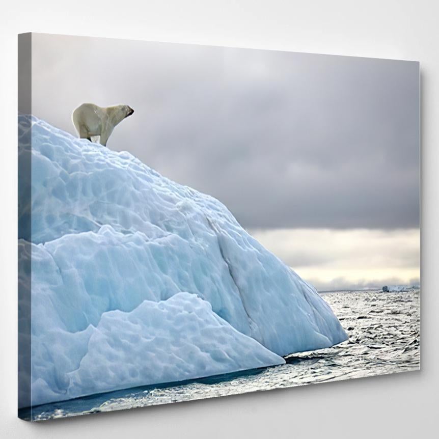 Polar Bear On Iceberg – Bear Animals Canvas Print