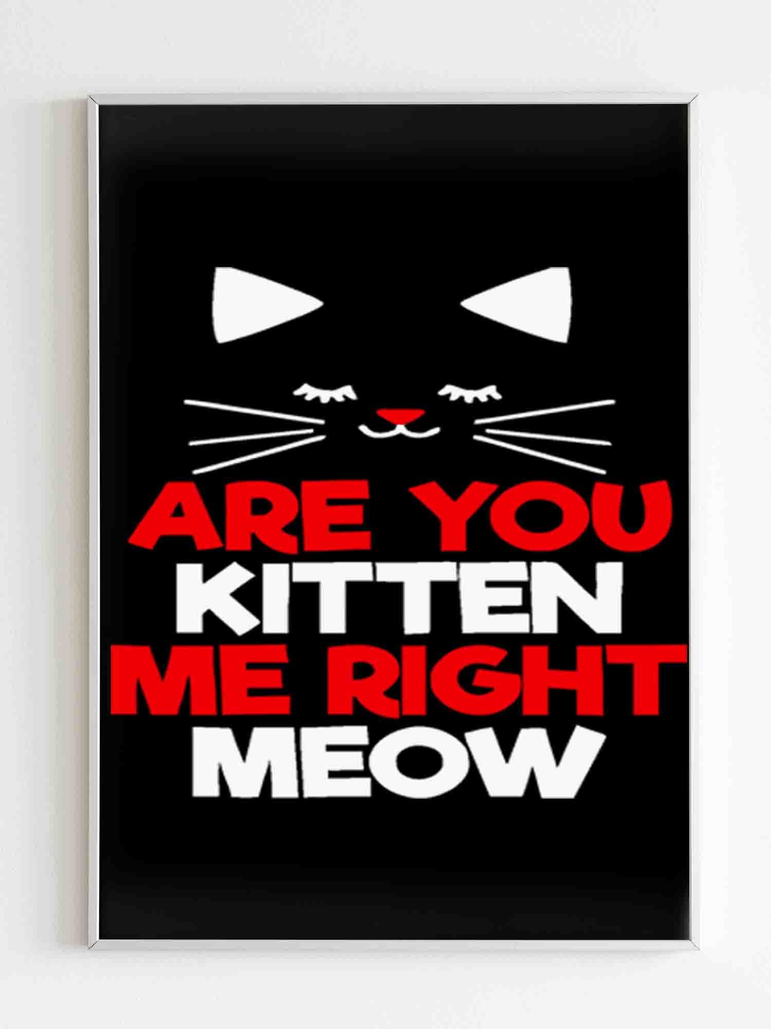 Are You Kitten Me Right Meow Lovers Poster