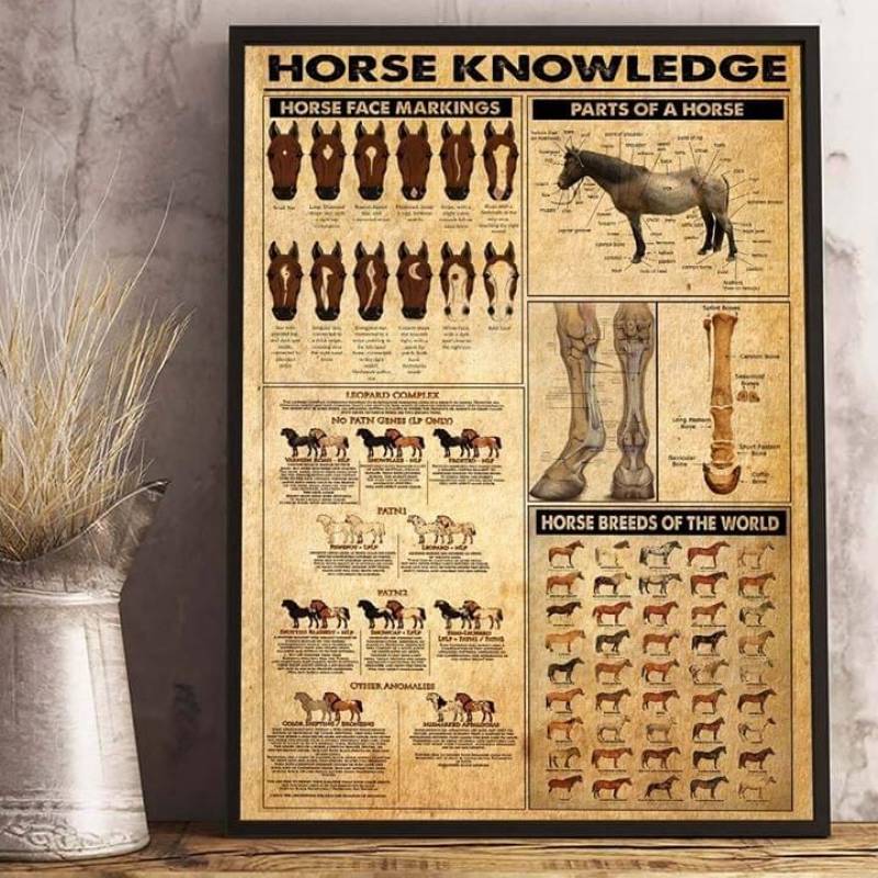 Horse knowledge horse breeds of the world poster t shirt hoodie sweater canvas