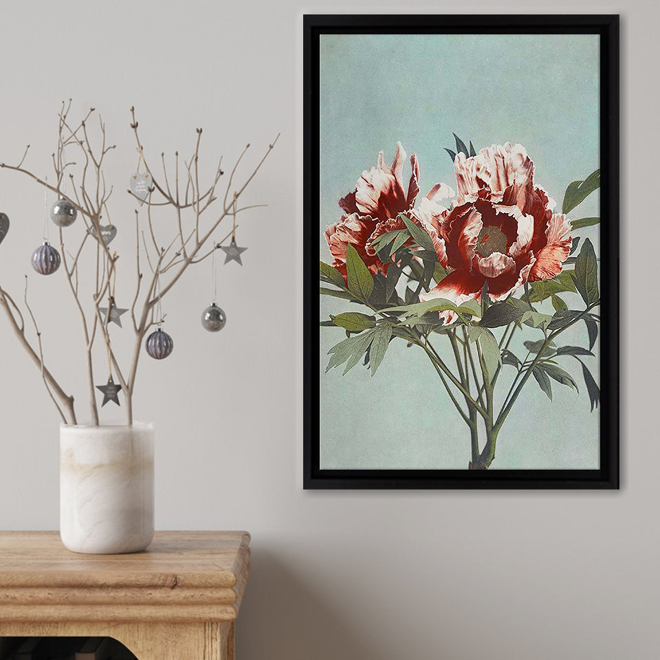 Tree Peony Framed Canvas Print – Canvas Painting, Canvas Art, Wall Art, Wall Decor