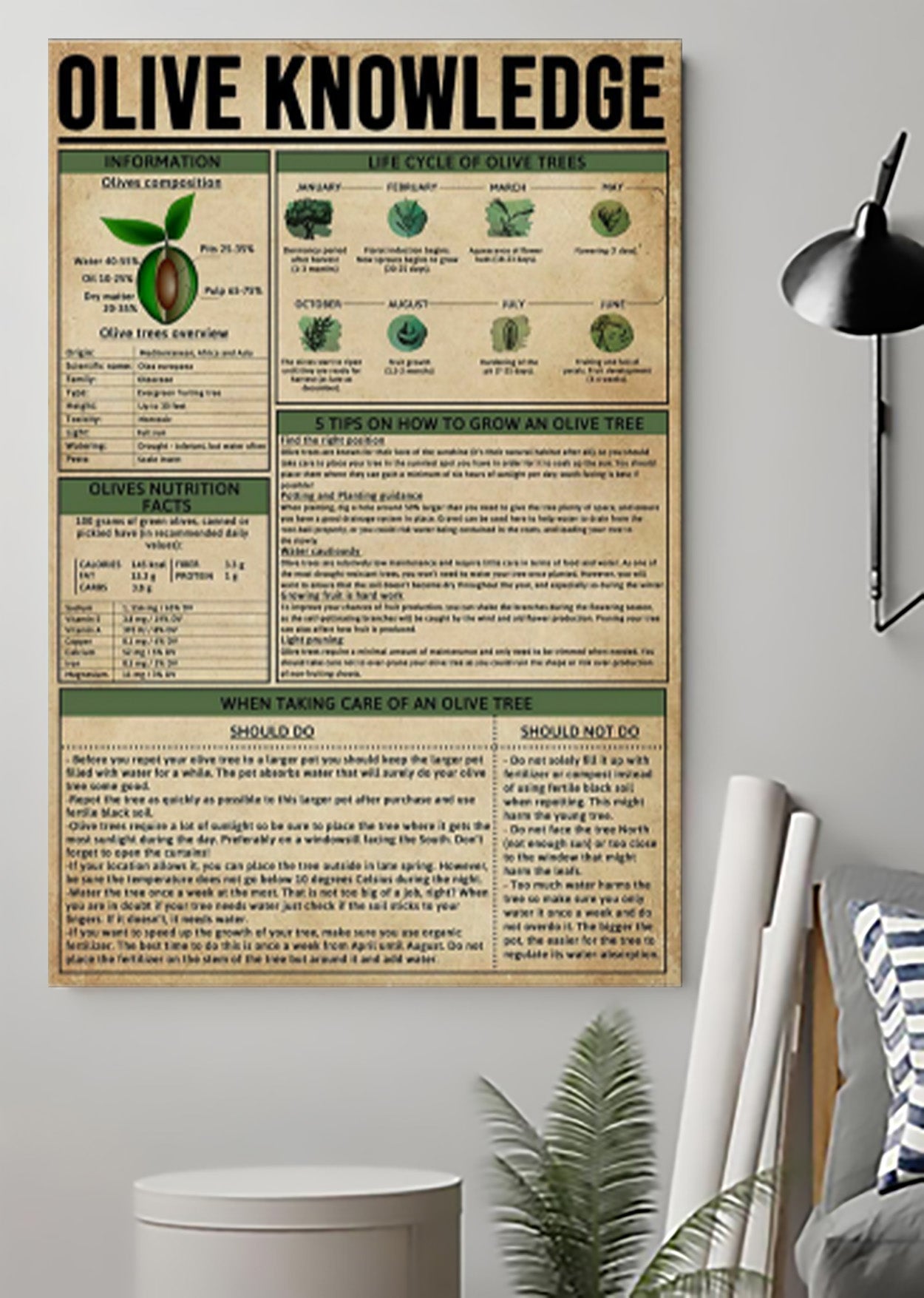 Farm Olive Knowledge Poster