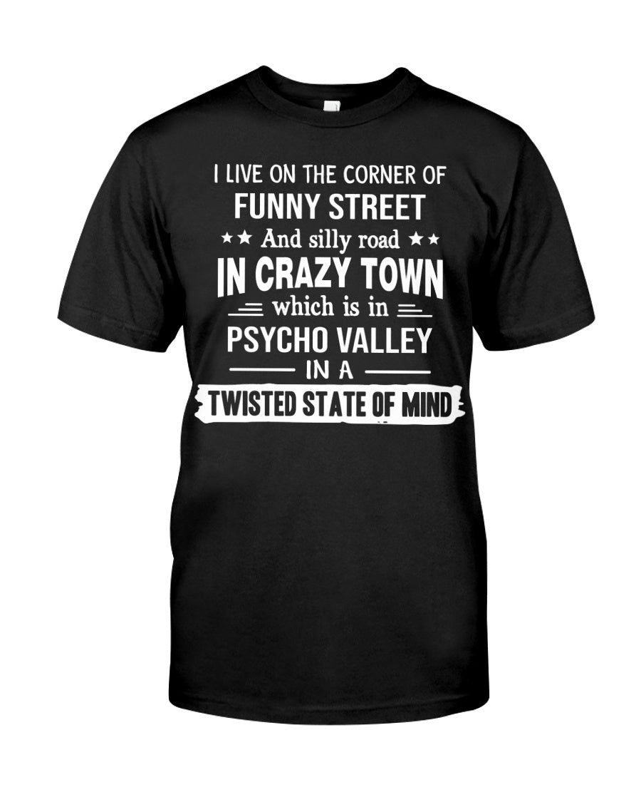 I Live On The Corner Of Funny Street And Silly Road In Crazy Town Which Is In Psycho Valley Standard T-Shirt