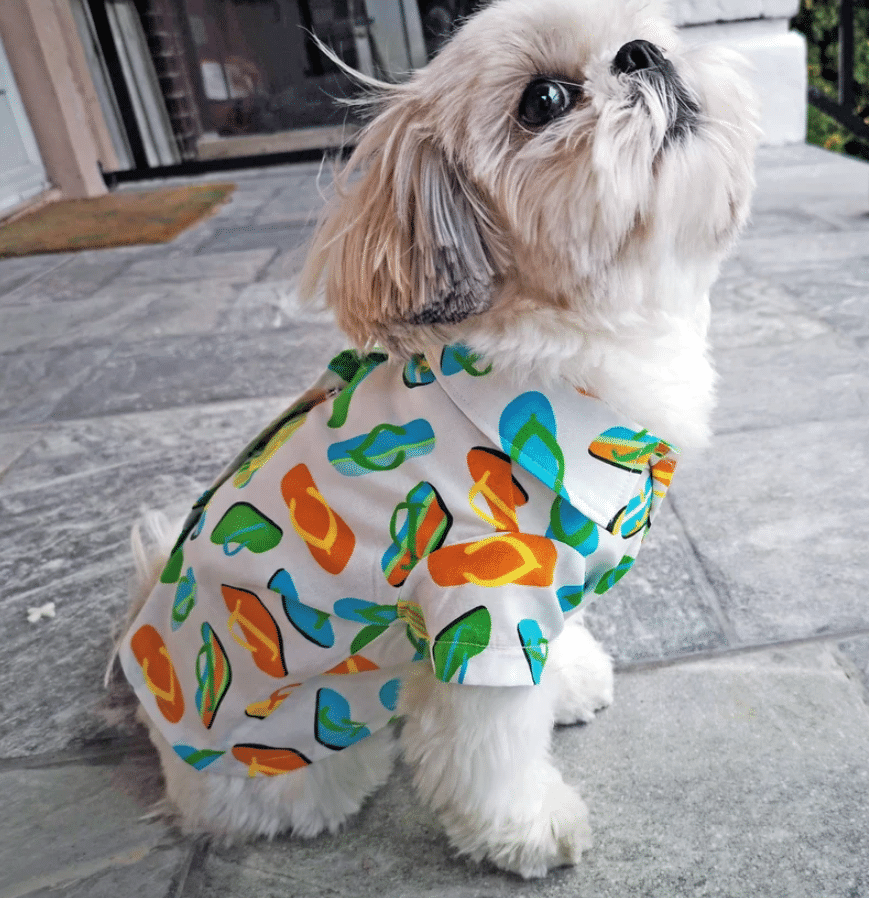 Aloha Summer Flip Flops Pet Hawaii Shirts Ha49223