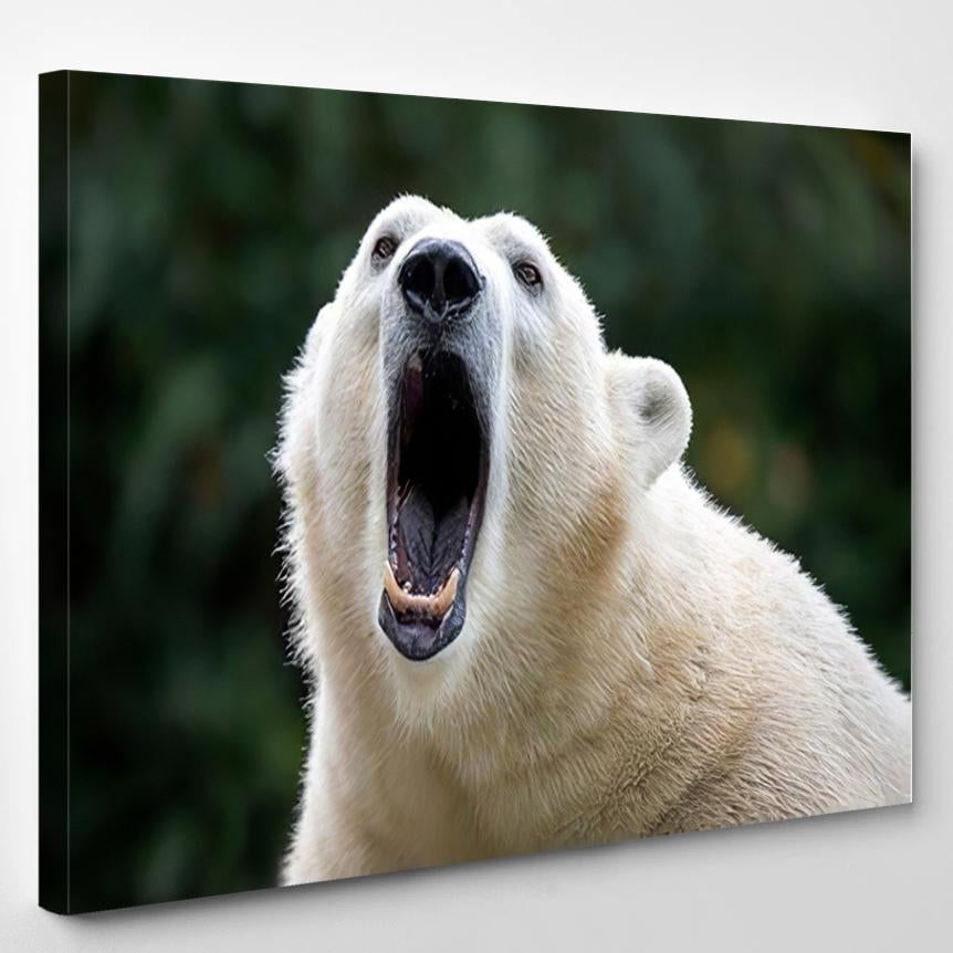 Polar Bear Close 3 – Bear Animals Canvas Print