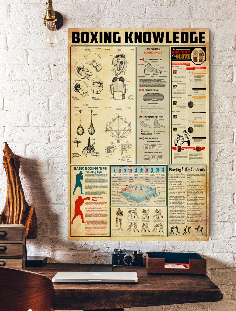 Basic Boxing Knowledge Vertical Poster