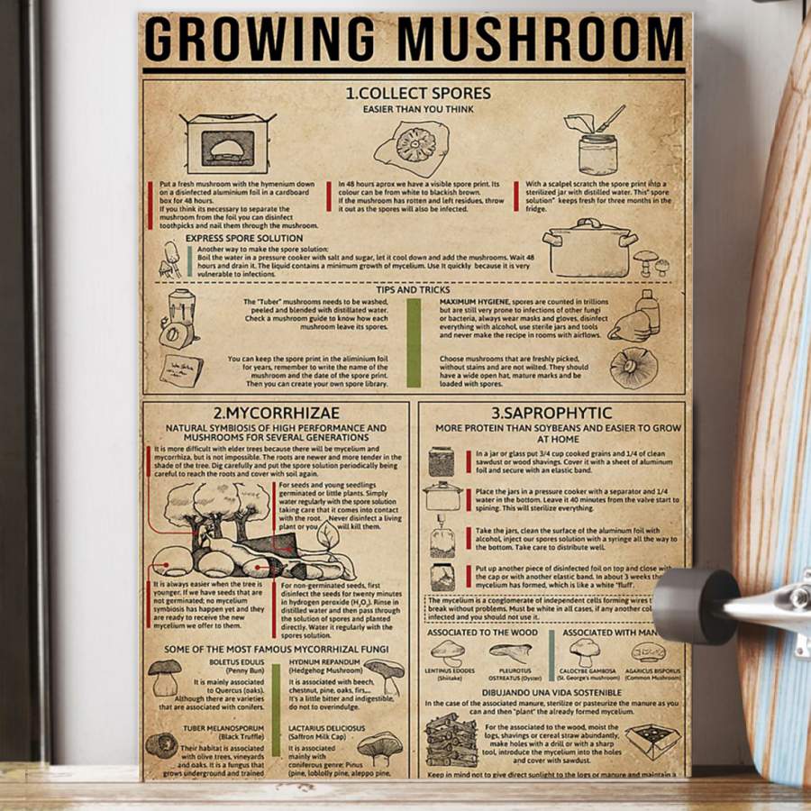 Growing Mushroom  Unique Custom Design  Poster  Gift