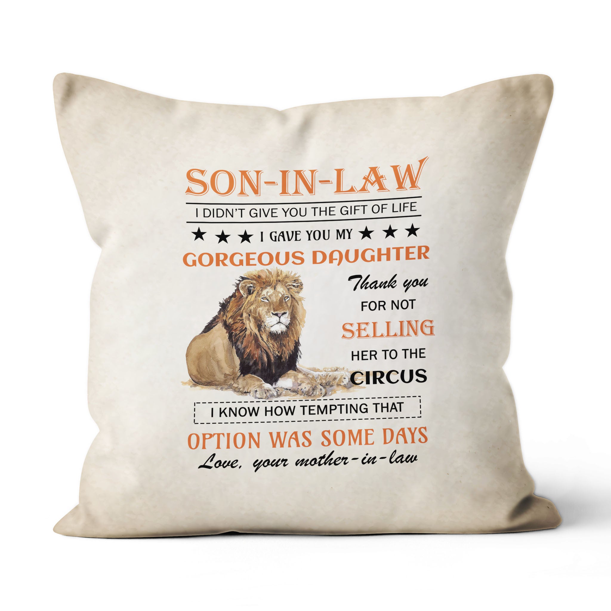 To My Dear Son In Law I Didn’t Give You Lion – Suede Pillow