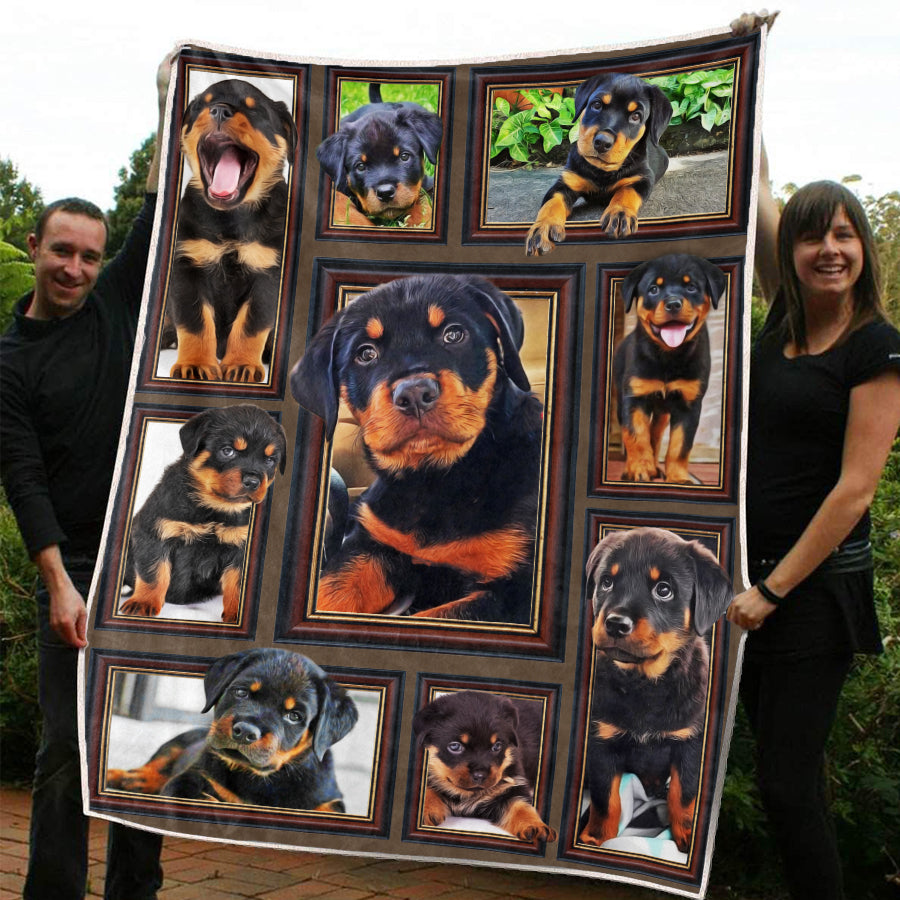 Rottweiler Puppy Blanket – BL2015