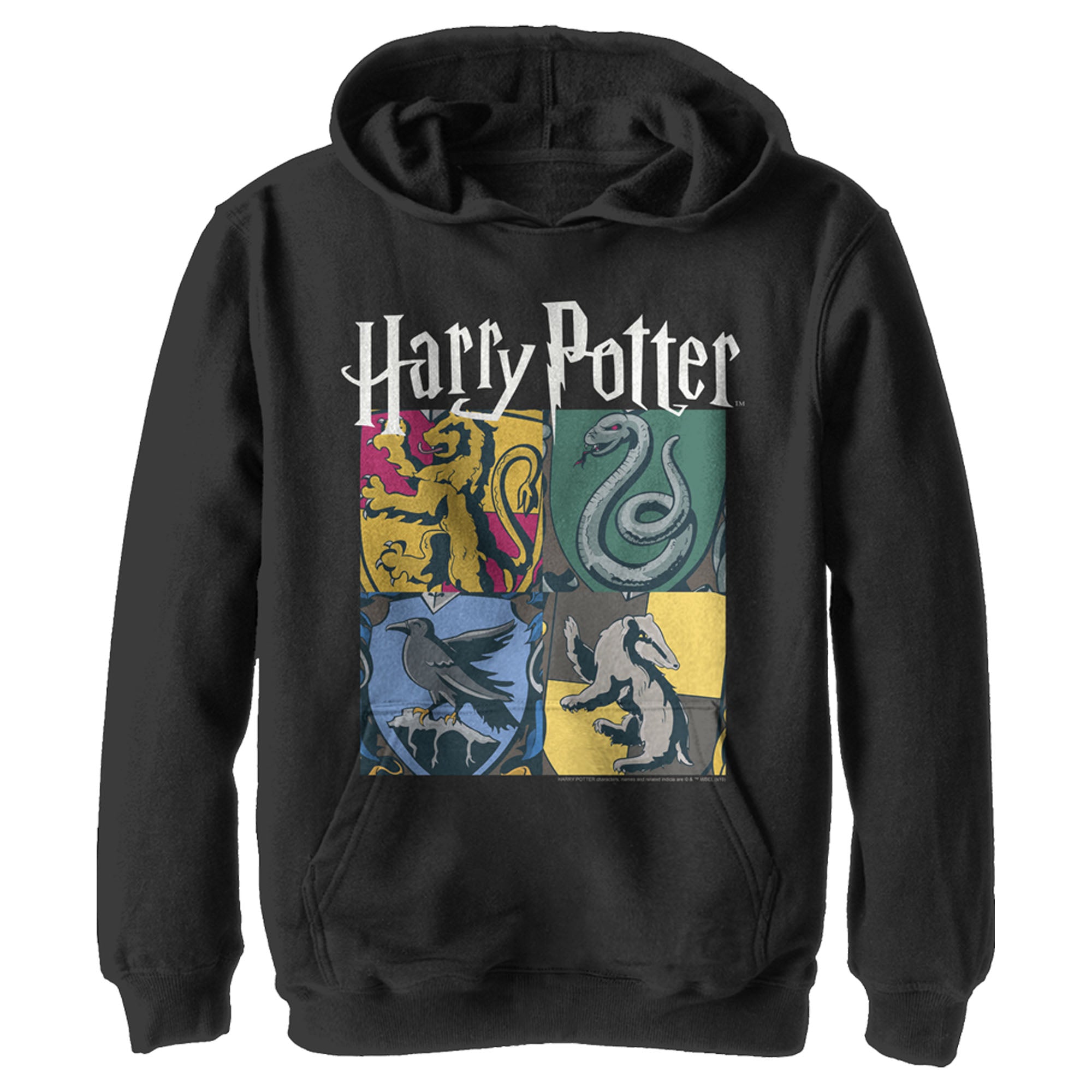 Boy’S Harry Potter Hogwarts Houses Vintage Collage Pull Over Hoodie