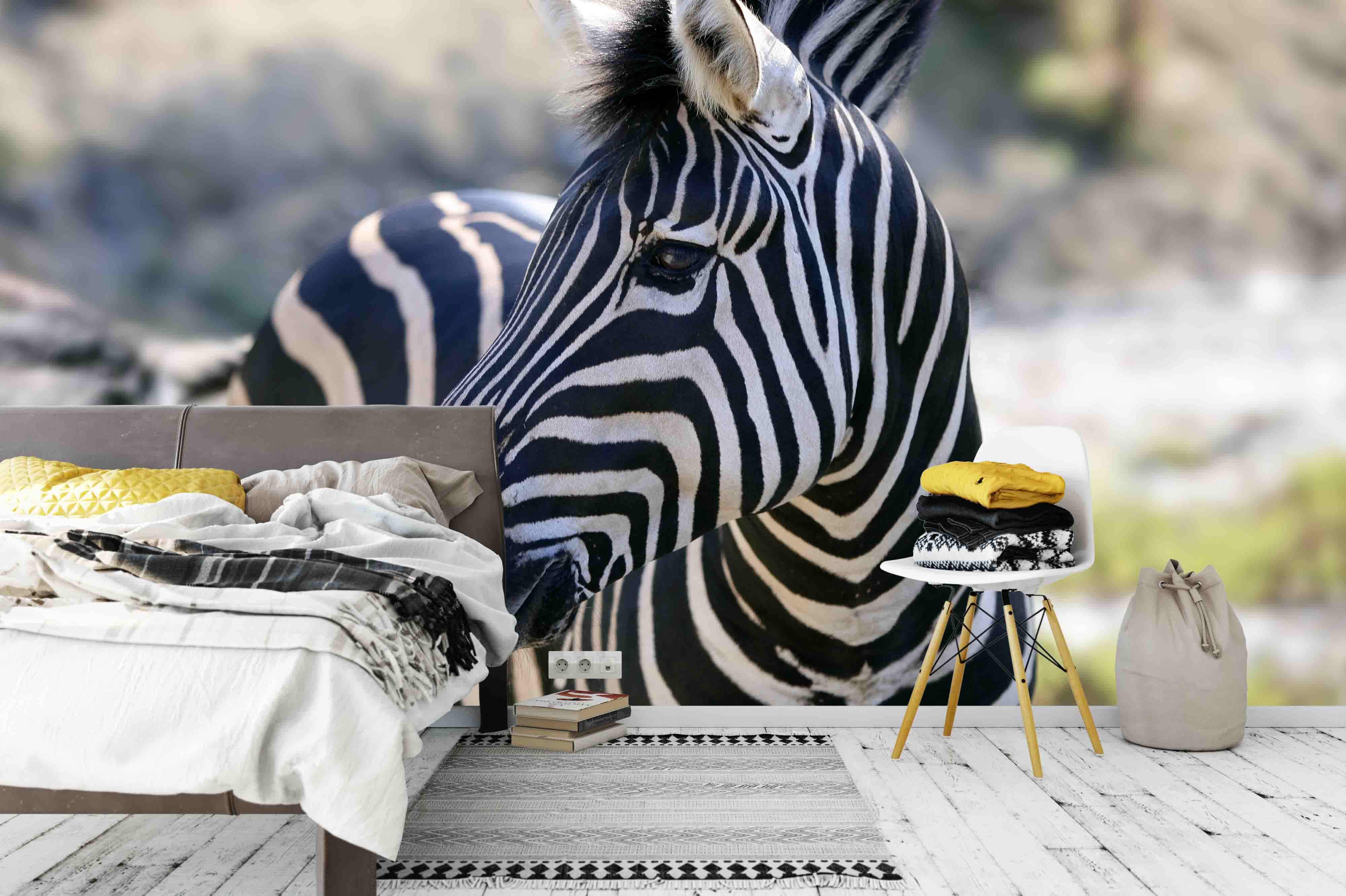 3D Beautiful African Zebra Outdoor Wall Mural Wallpaper 2