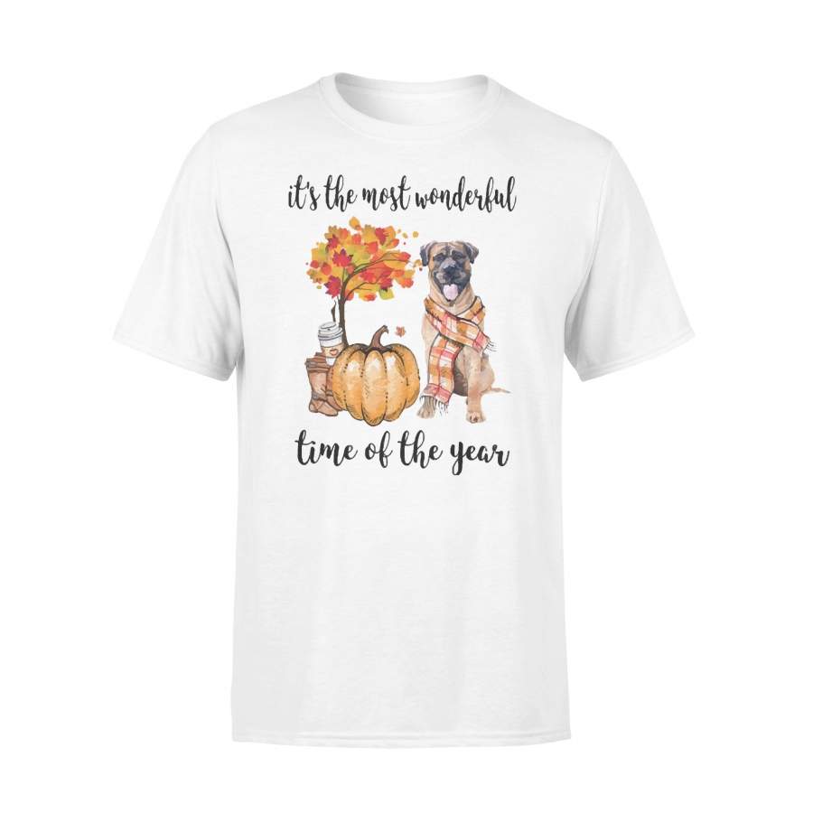 Fall Pumpkin It’s The Most Wonderful Time Of The Year Boerboel T-Shirt