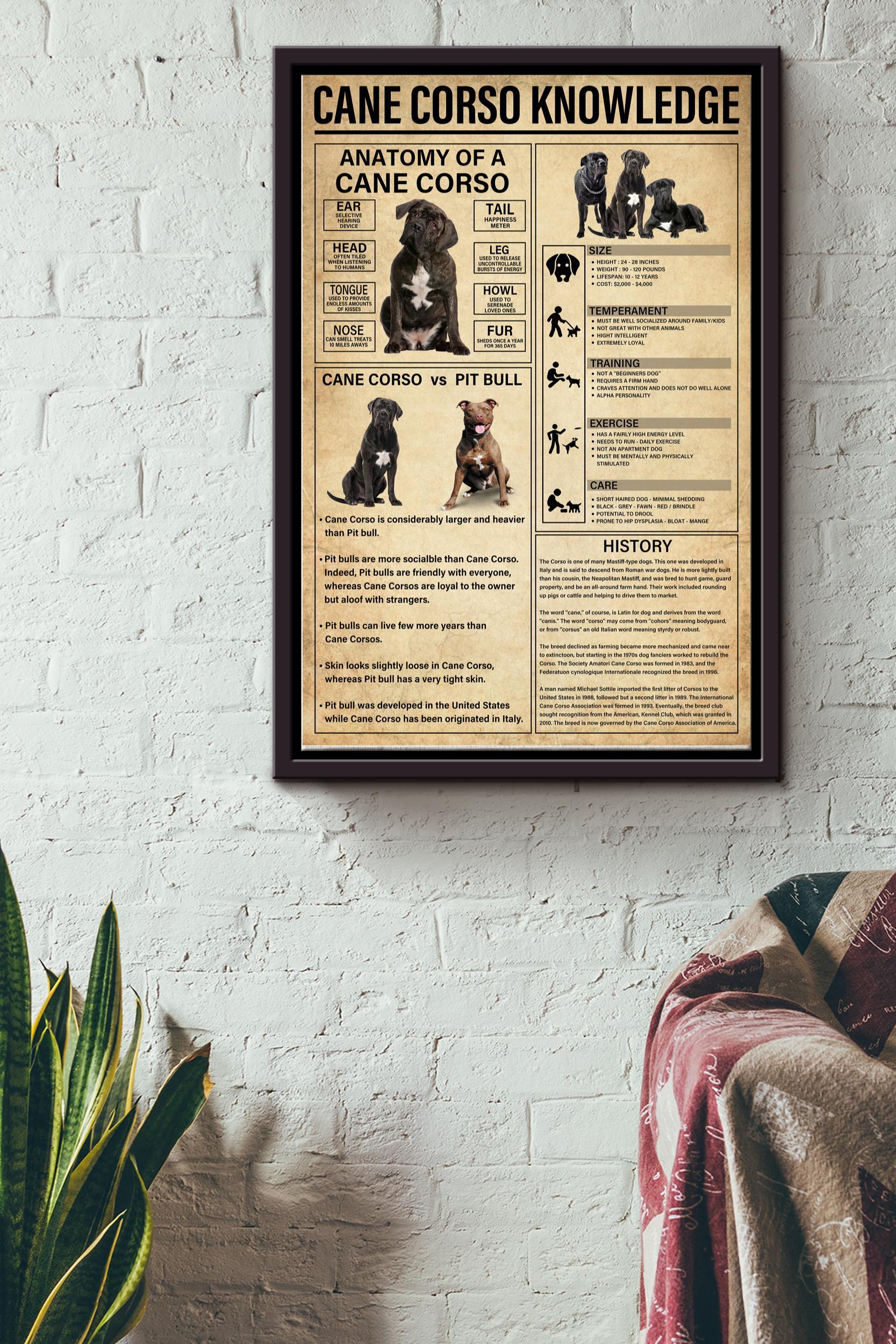 Cane Corso Knowledge Basic Information Poster – Animal Knowledge Wall Art – Gift For Dog Lover Dog Owner Biologist Framed Matte Canvas