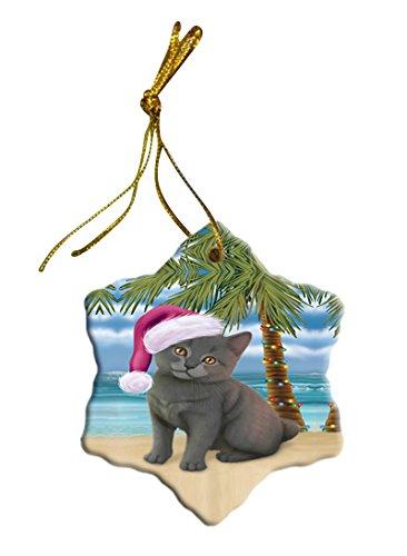 Summertime Chartreux Kitten On Beach Christmas Star Ornament Por2832