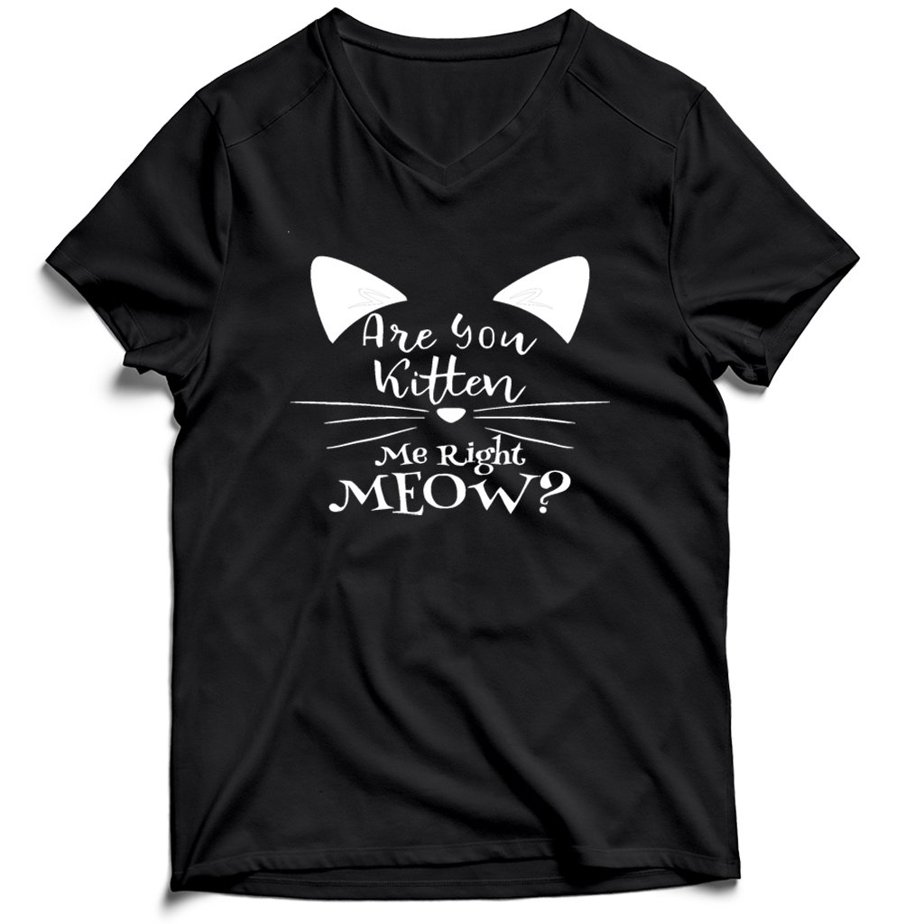 Are You Kitten Me Right Meow Loves Men’s V-Neck Tee T-Shirt