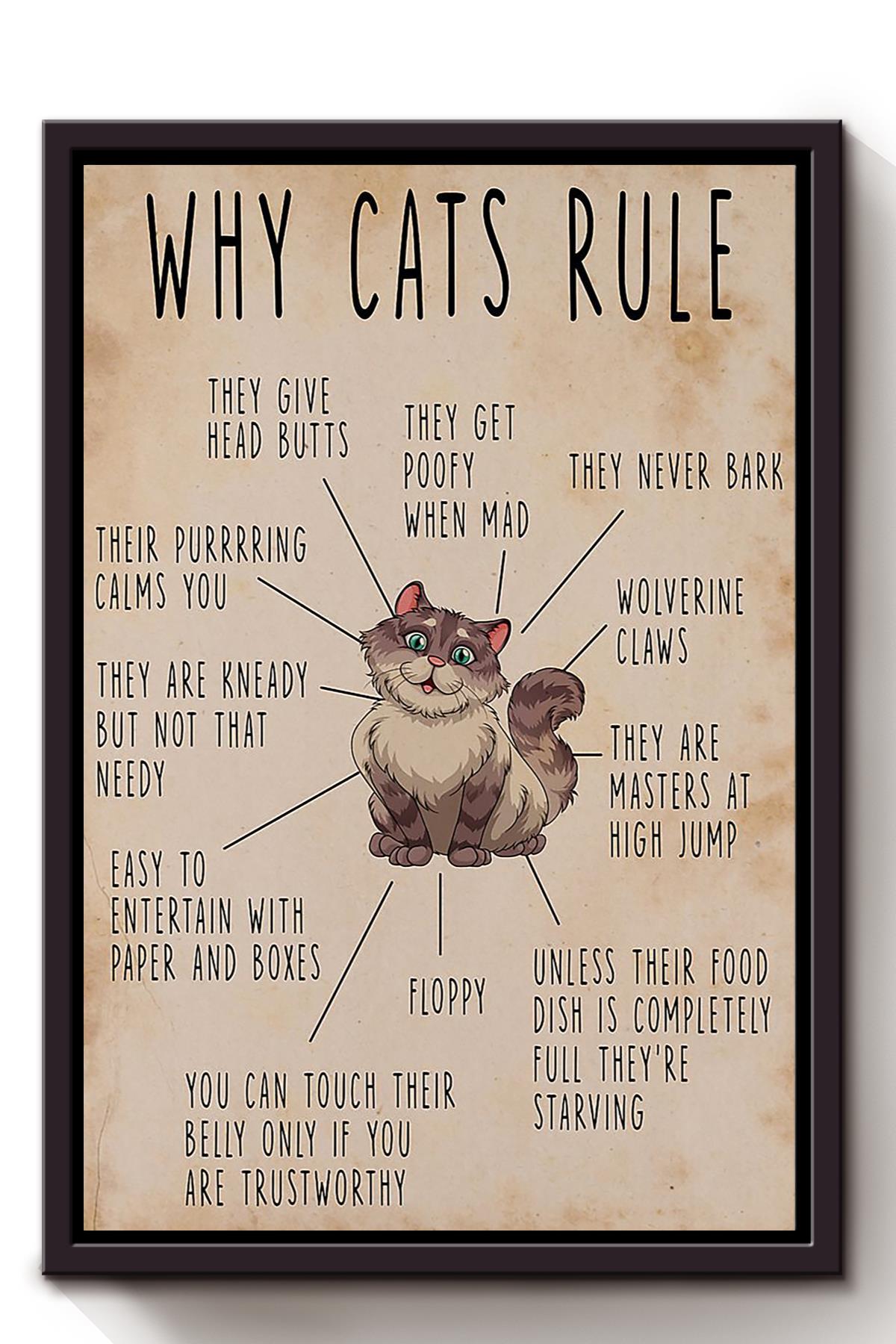 Cats Rule Animal Wall Art Gift For Cat Lover International Cat Day Kitten Foster Framed Canvas